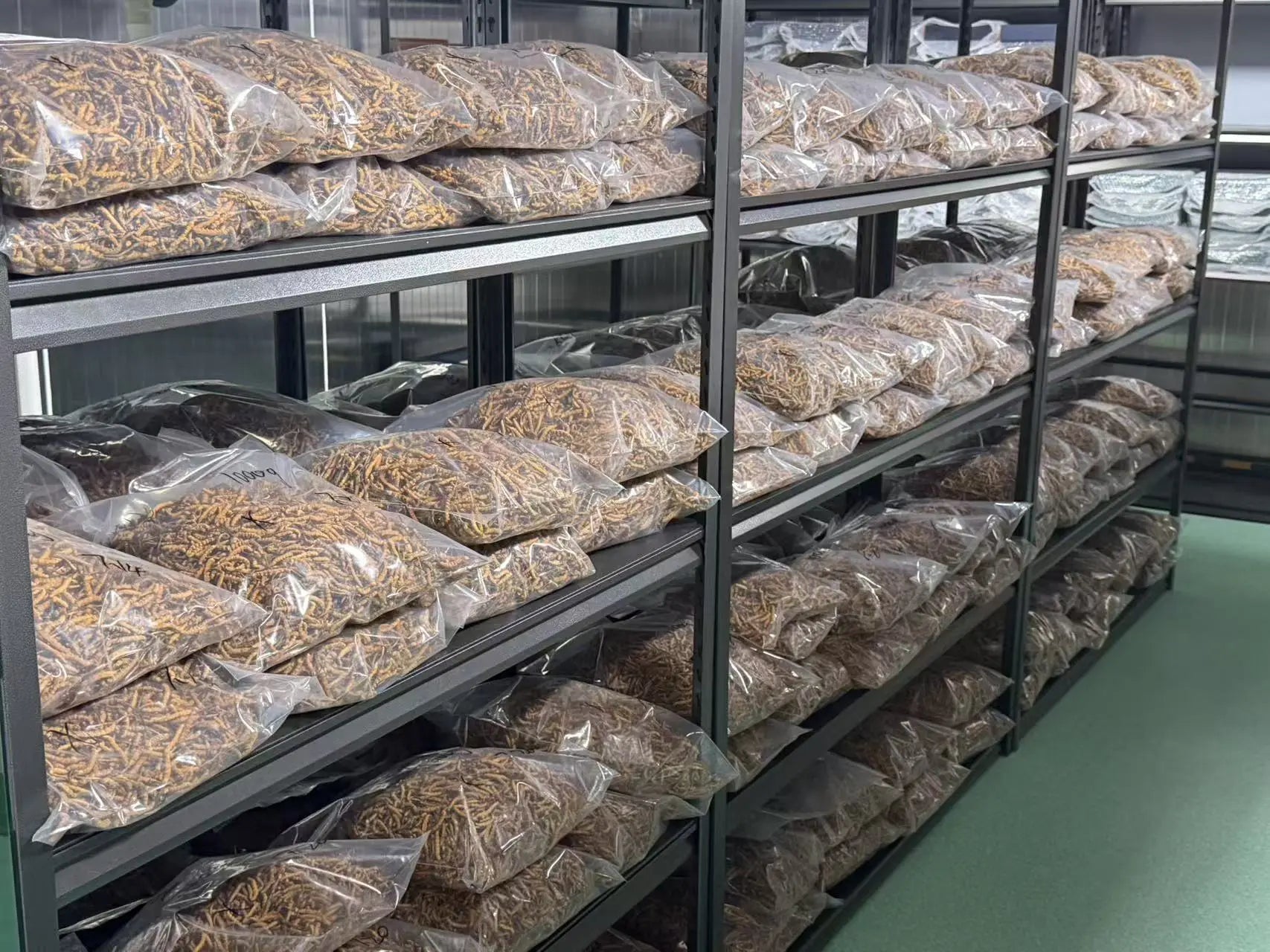 Organized storage facility for artificially cultivated Ophiocordyceps sinensis