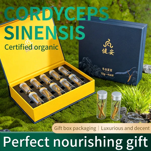 Authentic Biomimetic Cordyceps Sinensis - 10g Premium Gift Box