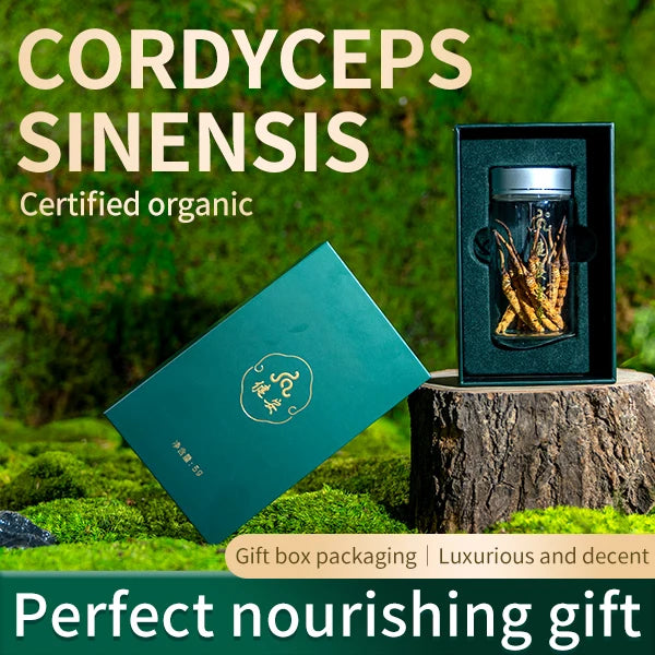 Premium Biomimetically Cultivated Cordyceps Sinensis - Authentic Gift Series