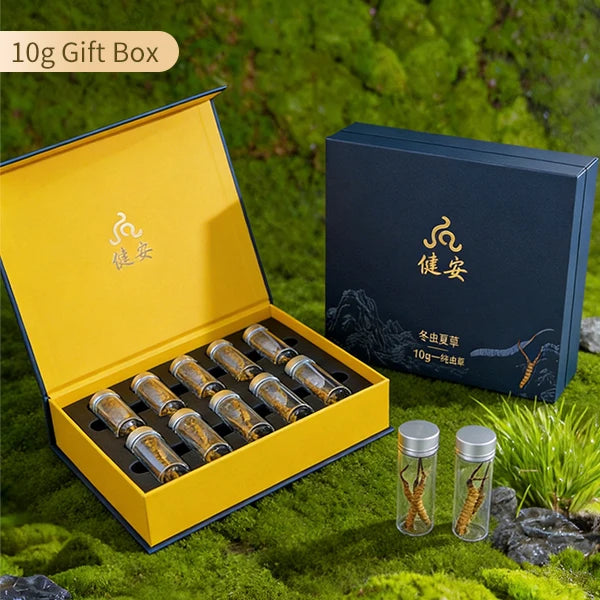 Authentic Biomimetic Cordyceps Sinensis - 10g Premium Gift Box