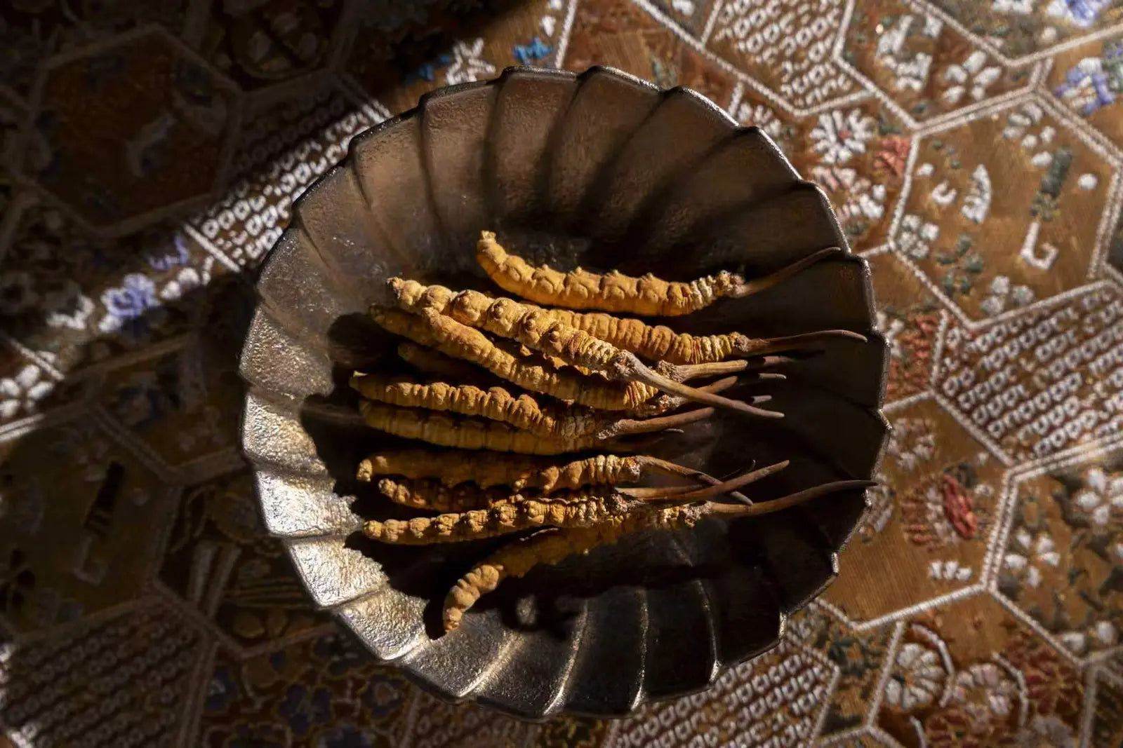 Bulk quality sample of Ophiocordyceps sinensis
